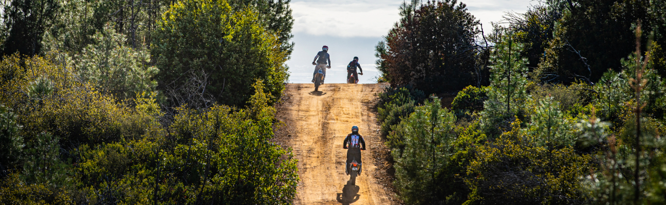 Dual Sport Riding